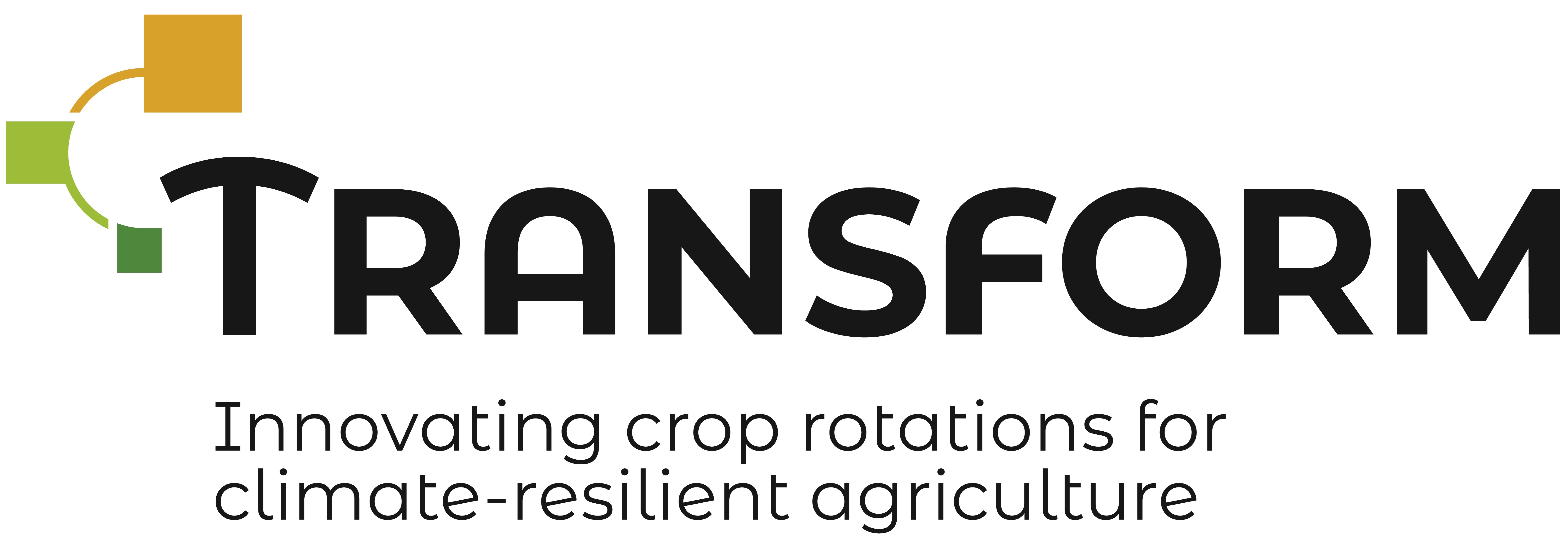 TRANSFORM logo