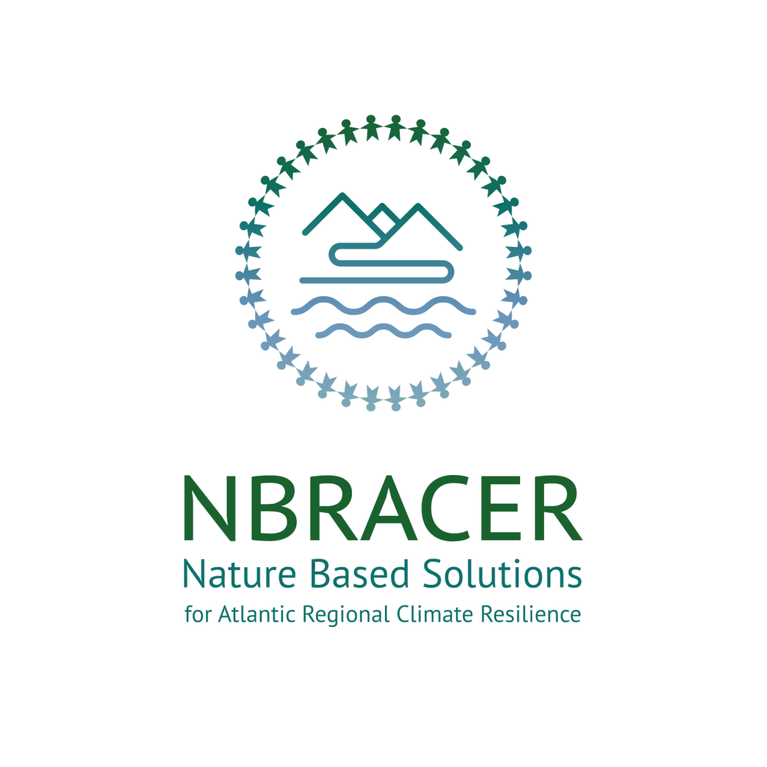 NBRACER logo